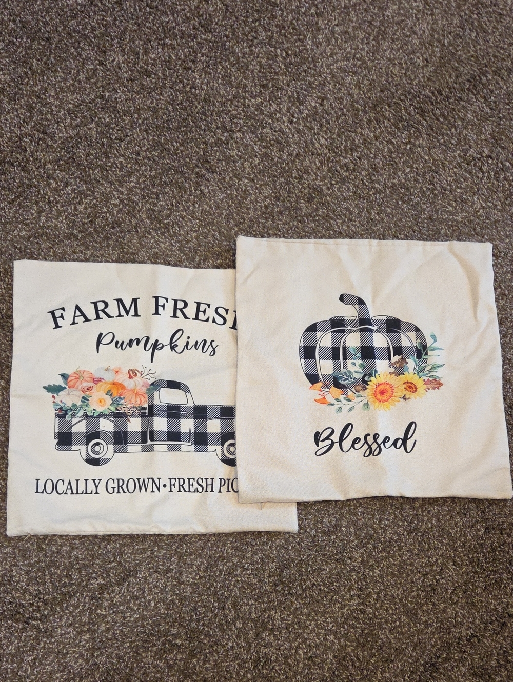 Farm Fresh Pumpkins & Blessed Buffalo Check Throw Pillow Covers (2) - Neutral
